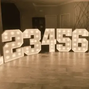 Marquee Numbers (Each)